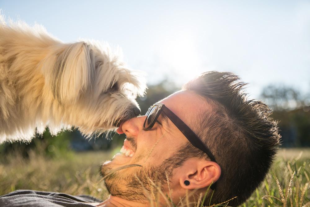 Homme souriant avec chien sur l'herbe, soleil brillant.