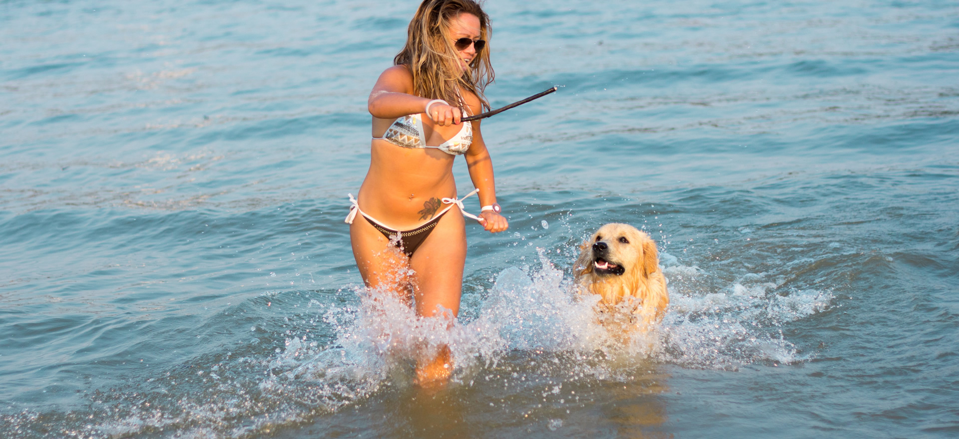 Femme jouant avec chien dans l'eau, plaisir estival.